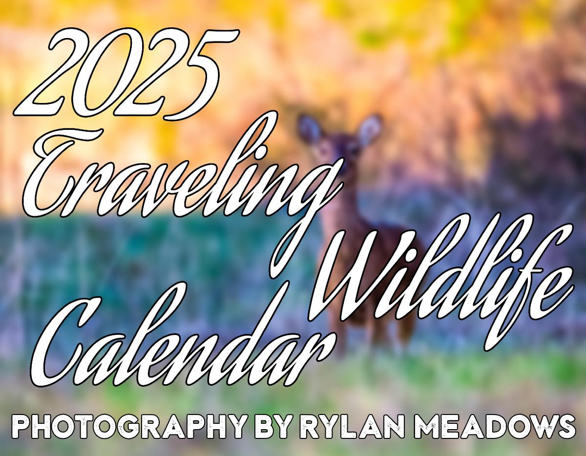 2025 Traveling Wildlife Calendar