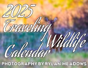 2025 Traveling Wildlife Calendar