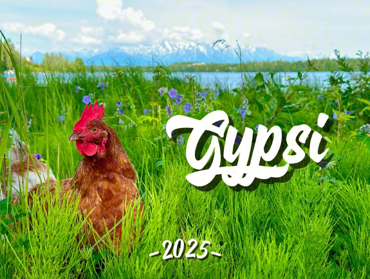 Gypsi Calendar 2025