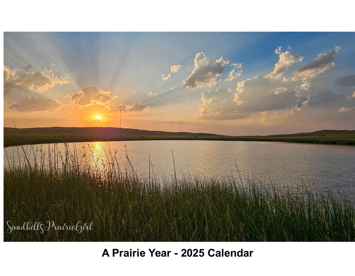 A Prairie Year - 2025 Calendar