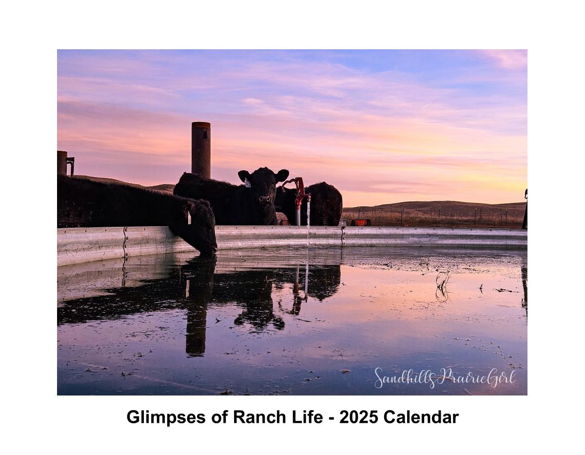 A Year on the Ranch 2025 Calendar