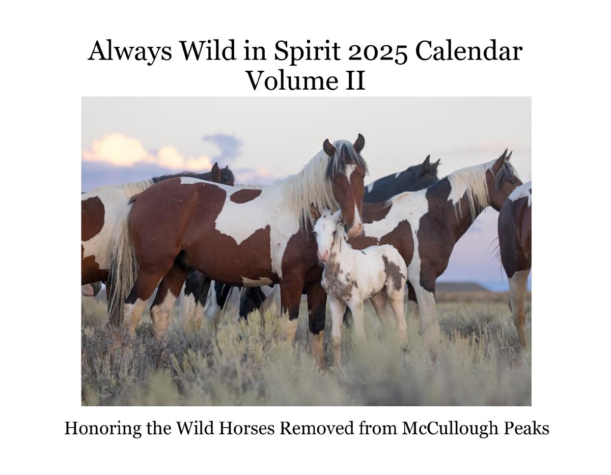 Always Wild in Spirit 2025 Calendar Volume II