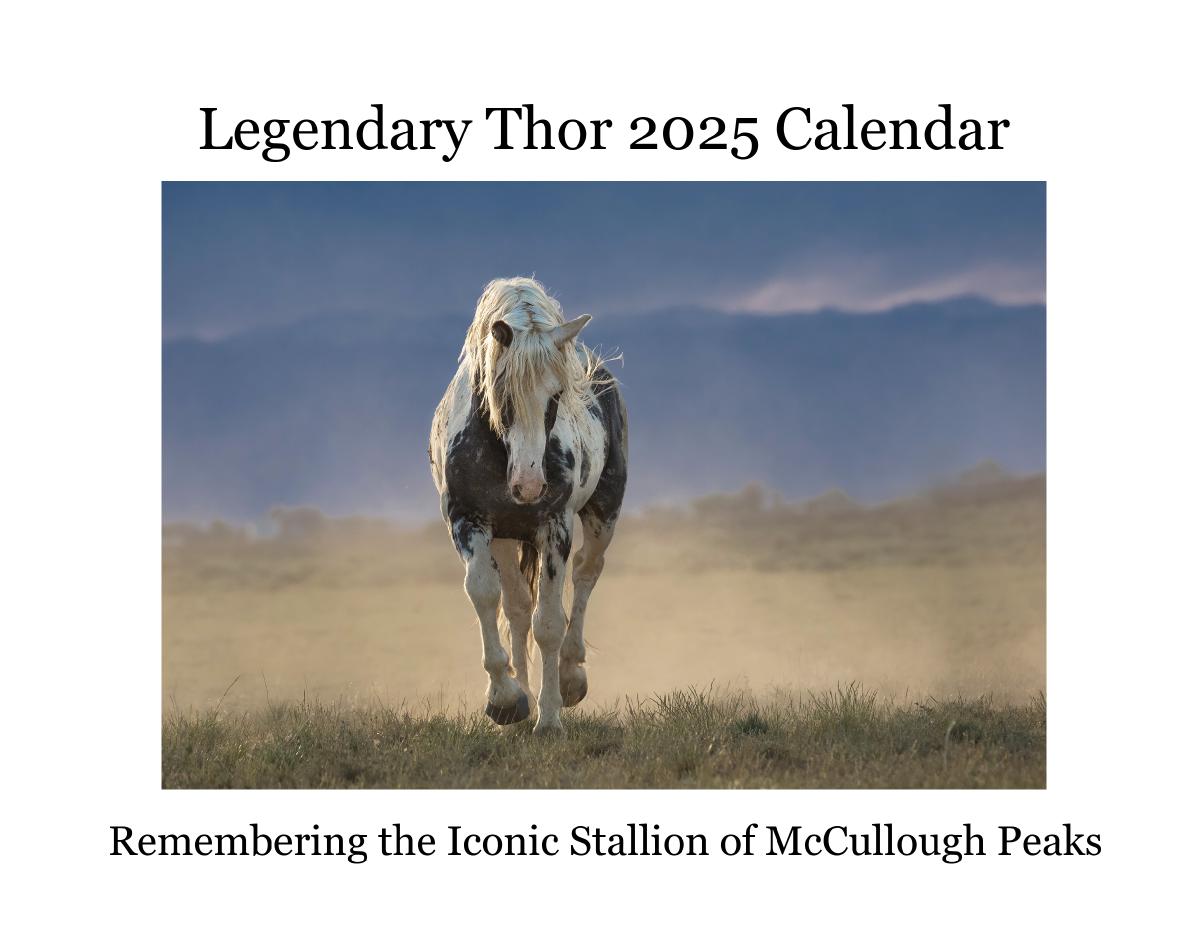 Legendary Thor 2025 Calendar