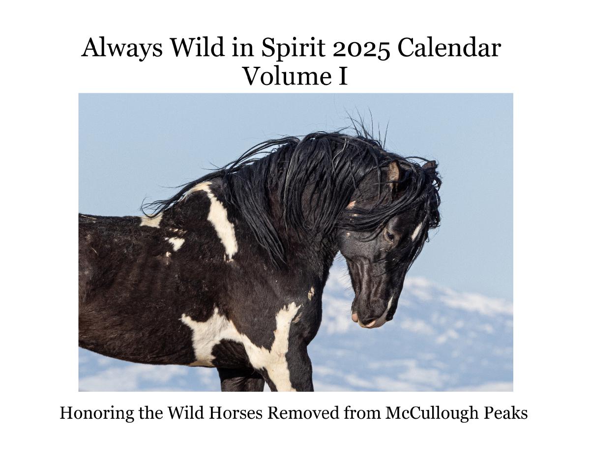 Always Wild in Spirit 2025 Calendar Volume I