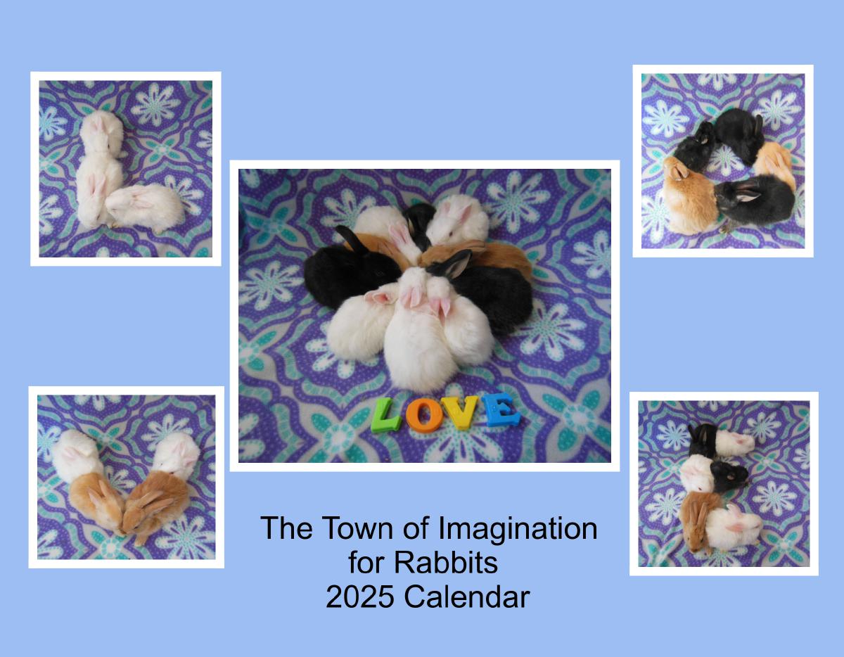 The Town of Imagination for Rabbits 2025 Calendar