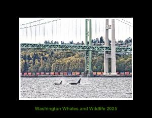 Washington Whales and Wildlife 2025