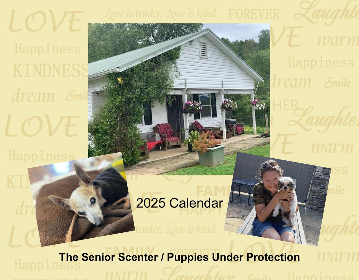 2025 Senior Scenter Calendar