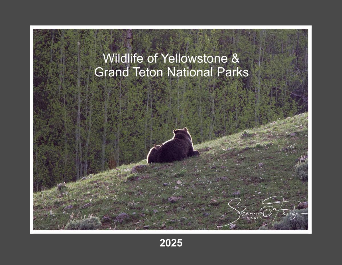 2025 Wildlife Calendar