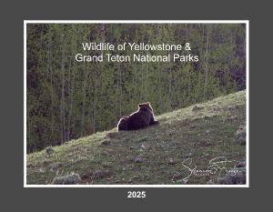 2025 Wildlife Calendar