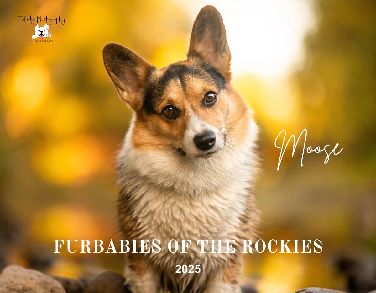 Furbabies of the Rockies Calendar