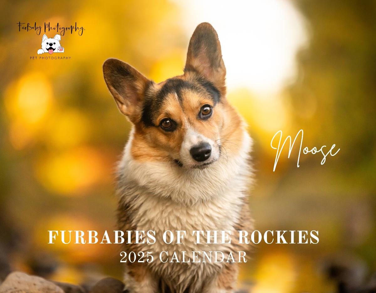 Furbabies of the Rockies Calendar