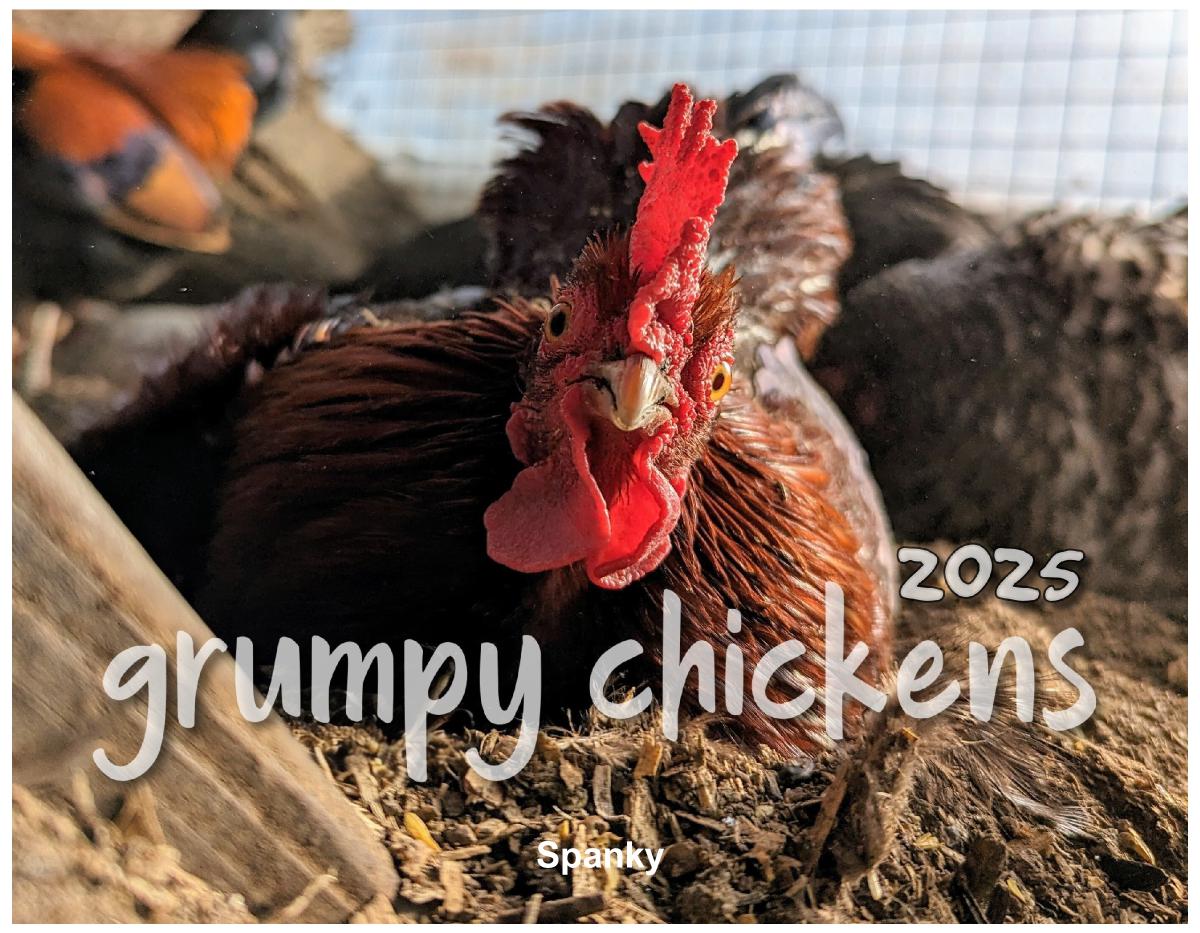 Grumpy Chickens 2025