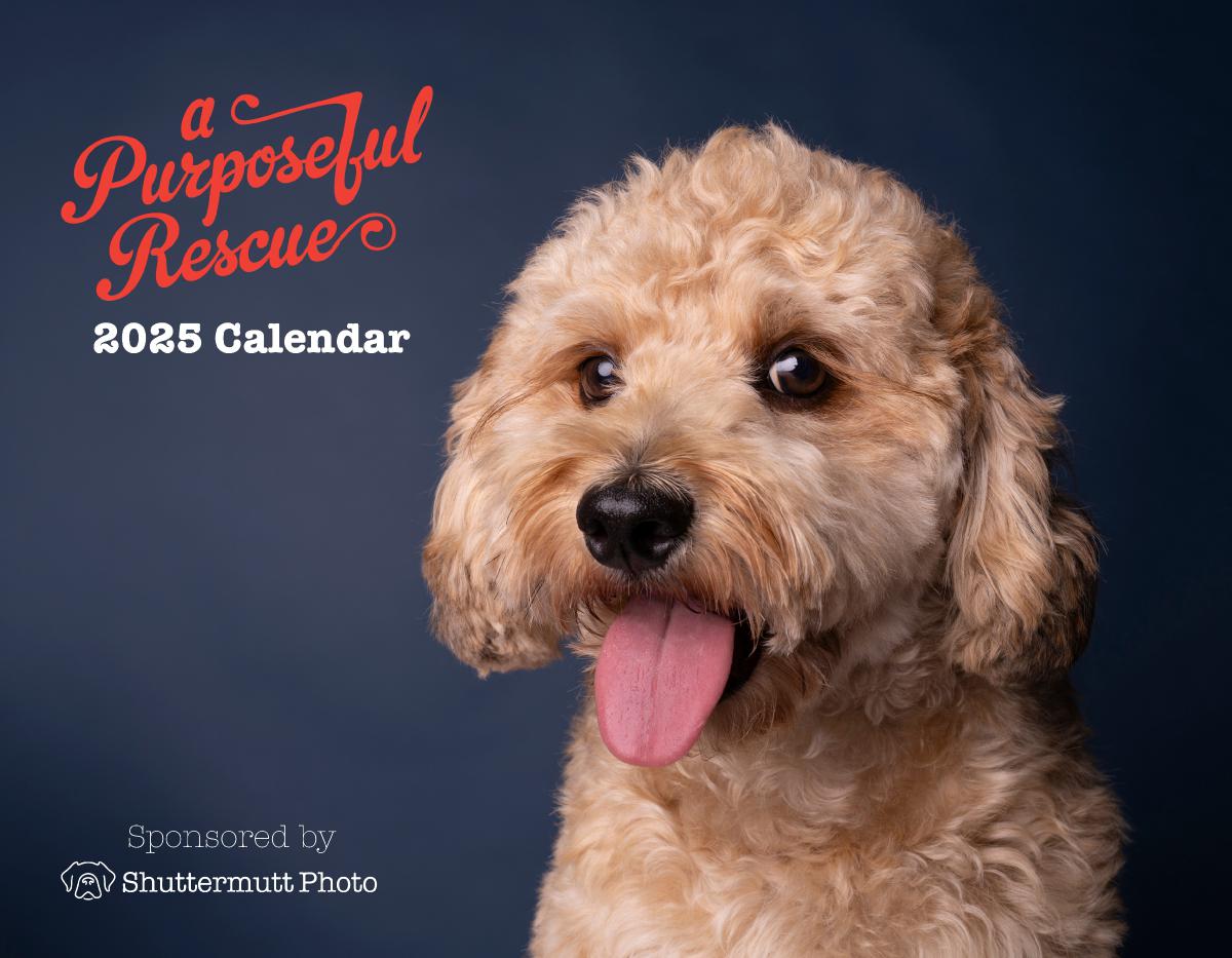 A Purposeful Rescue 2025 Photo Calendar