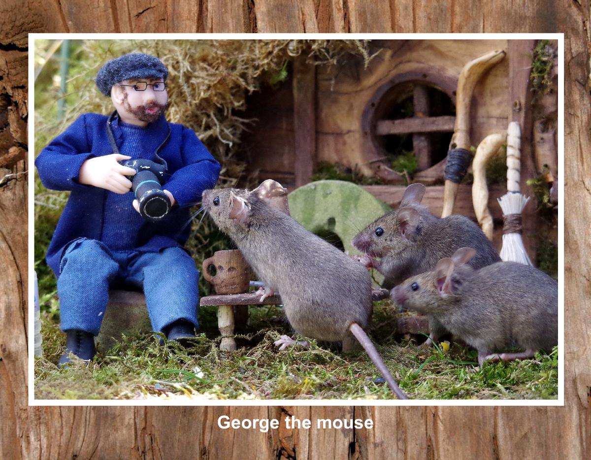 2025 George the mouse calendars 33