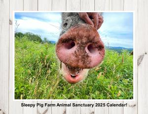 Sleepy Pig Farm 2025 Calendar