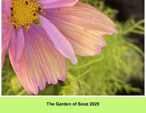 Garden of Sooz 2025 Calendar