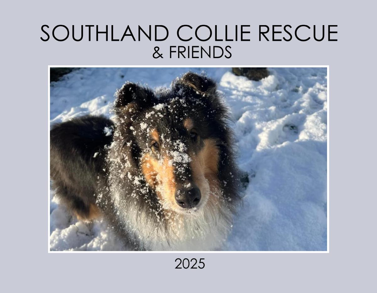 Southland Collie Rescue & Friends - 2025