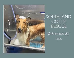 Southland Collie Rescue & Friends #2 - 2025