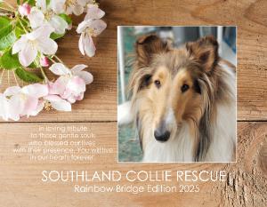 SCR & Friends Rainbow Bridge - 2025