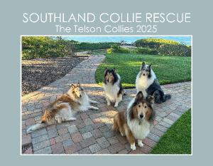 Southland Collie Rescue - The Telson Collies 2025