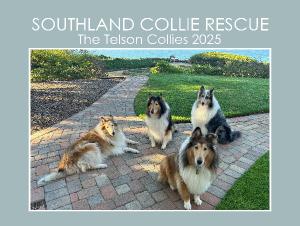 Southland Collie Rescue - The Telson Collies 2025