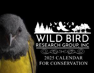 2025 Calendar for Conservation