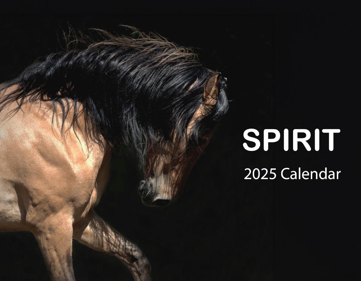 Spirit 2025 Calendar