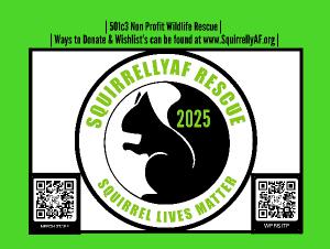 SquirrellyAF Wildlife Rescue 2025 Calendar