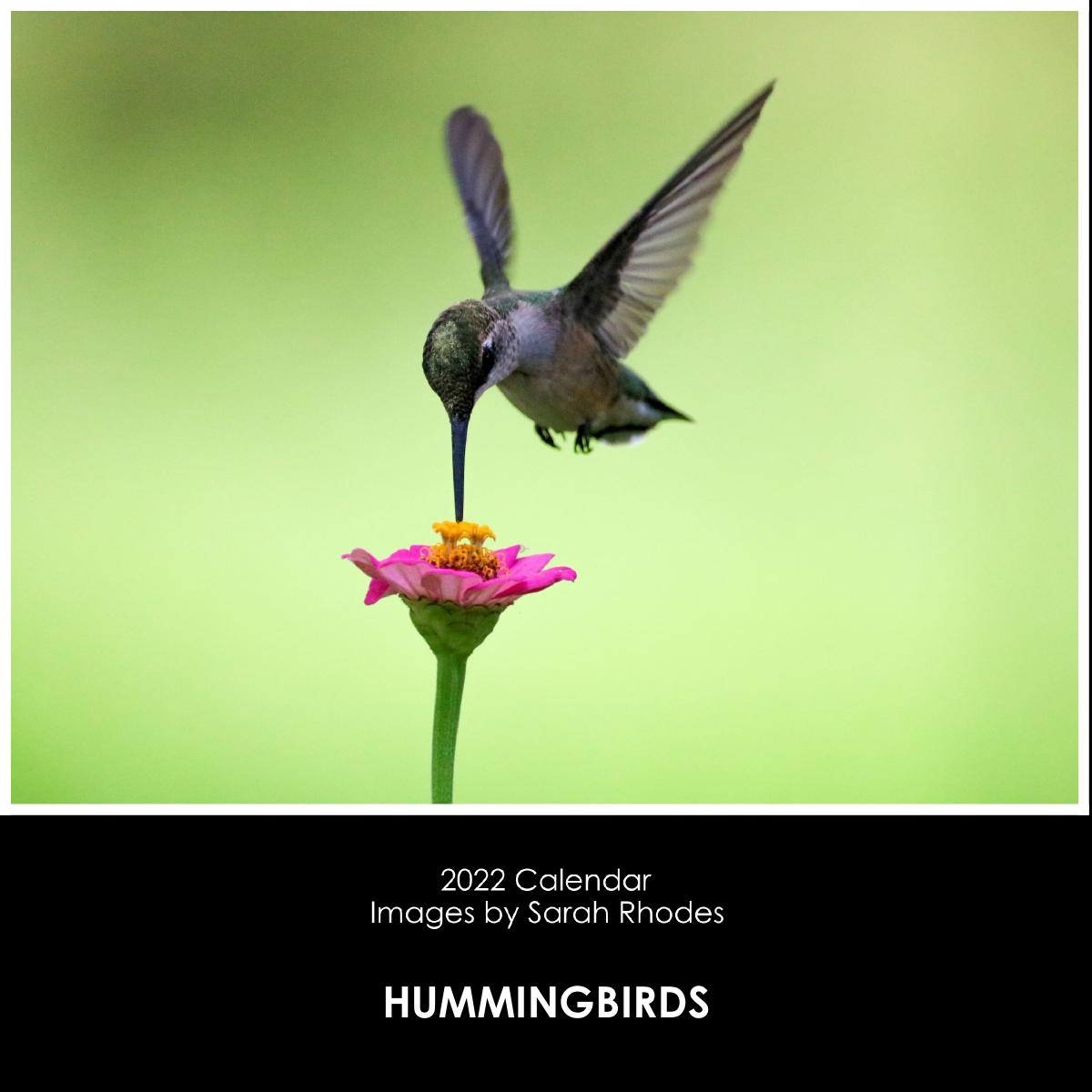 2022 Hummingbirds Calendar | Create Photo Calendars