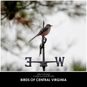 2025 Birds of Central Virginia Calendar