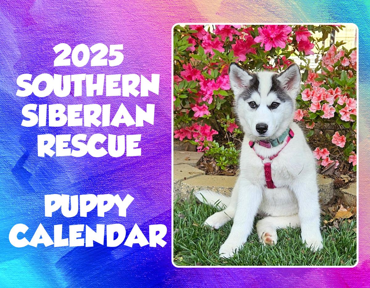 2025 Southern Siberian Rescue Puppy Calendar