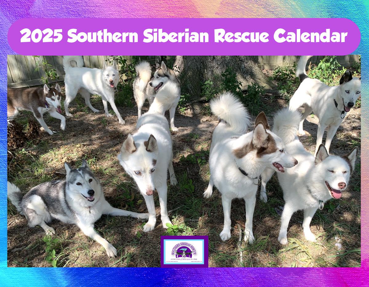 2025 Southern Siberian Rescue Calendar