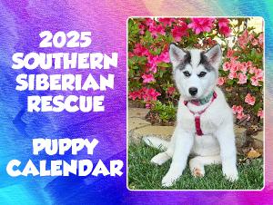 2025 Southern Siberian Rescue Puppy Calendar