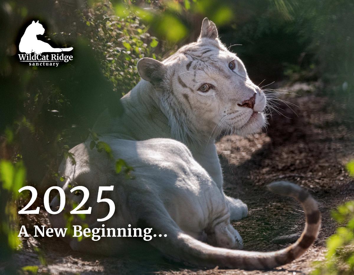 WildCat Ridge Sanctuary 2025 Calendar