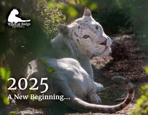 WildCat Ridge Sanctuary 2025 Calendar