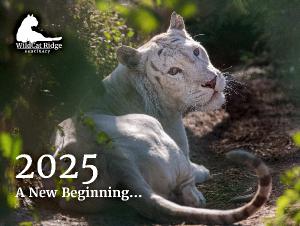 WildCat Ridge Sanctuary 2025 Calendar