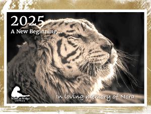 2025 Calendar, In Memory of Nora