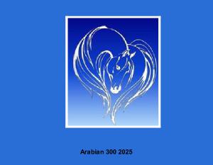 Arabian 300 2025 Calendar 2