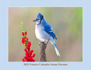 2025 Nature Calendar