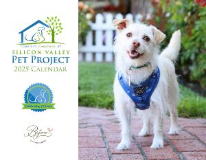 Silicon Valley Pet Project 2025 Calendar