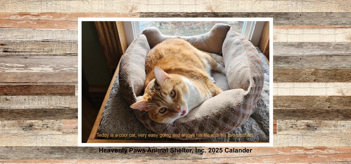 Heavenly Paws 2025 Desk Calendar