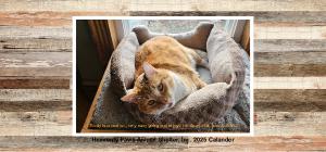 Heavenly Paws 2025 Desk Calendar