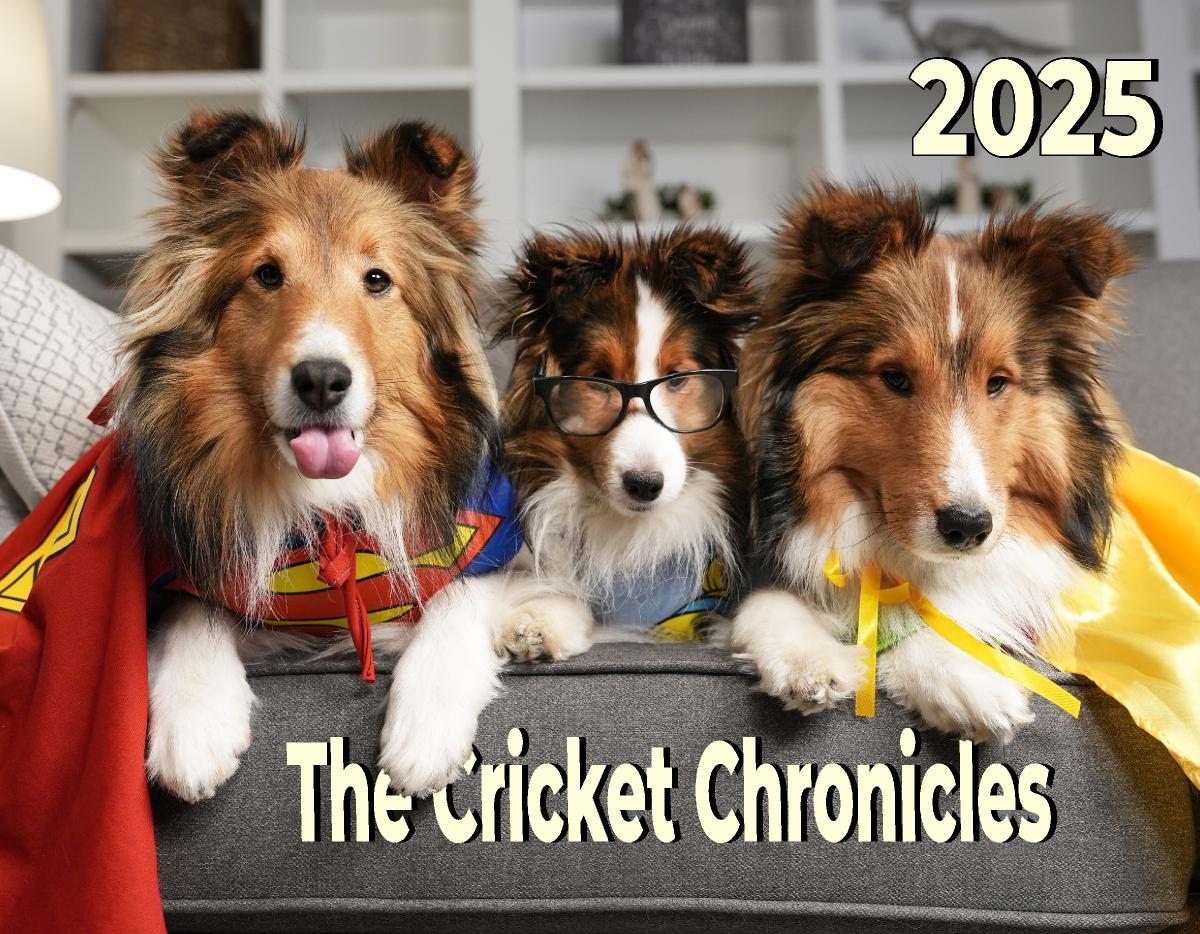 The Cricket Chronicles 2025