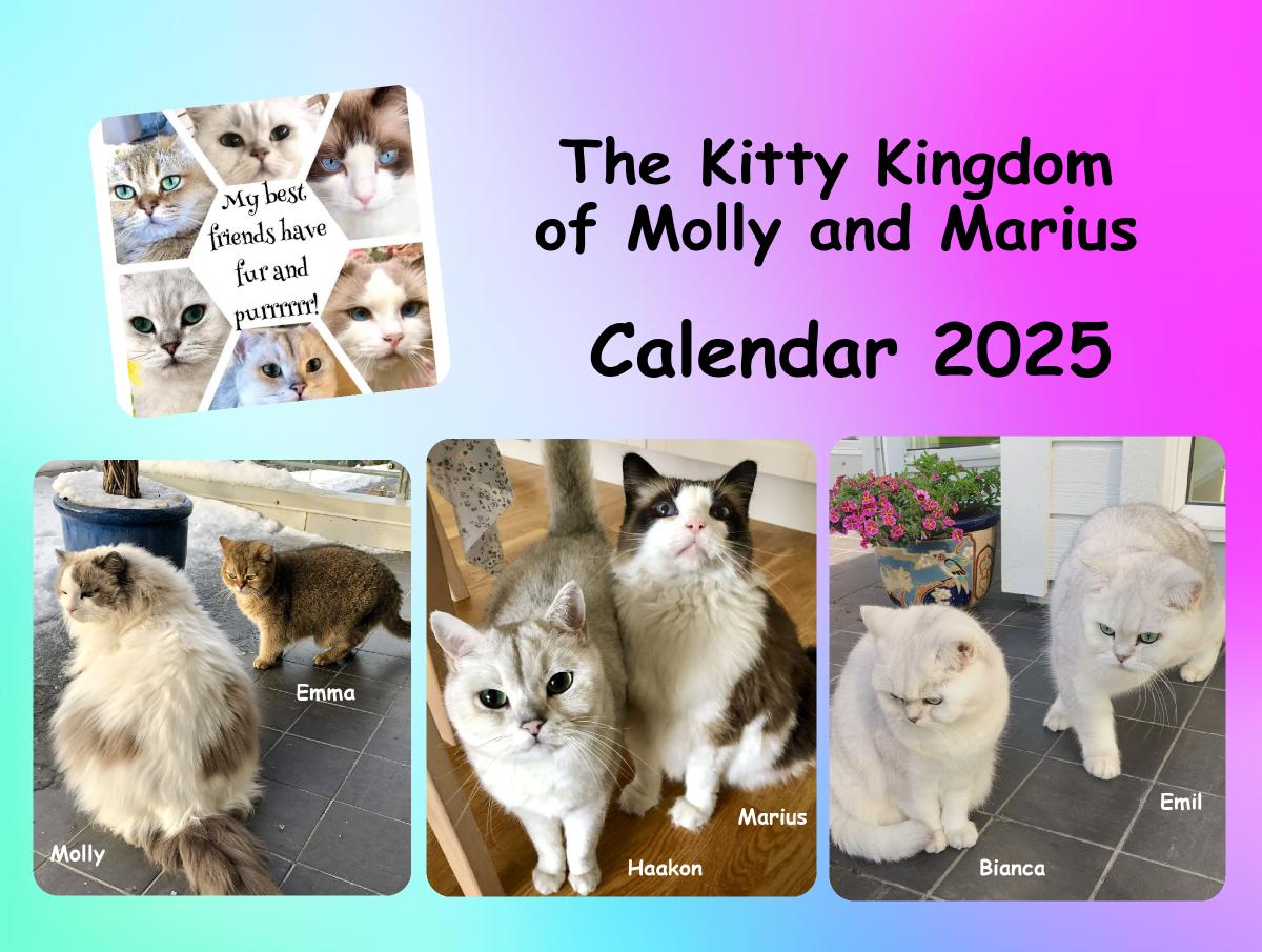 The Kitty Kingdom calendar 2025