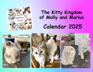 The Kitty Kingdom calendar 2025