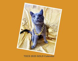 TOCS 2025 GOLD Calendar