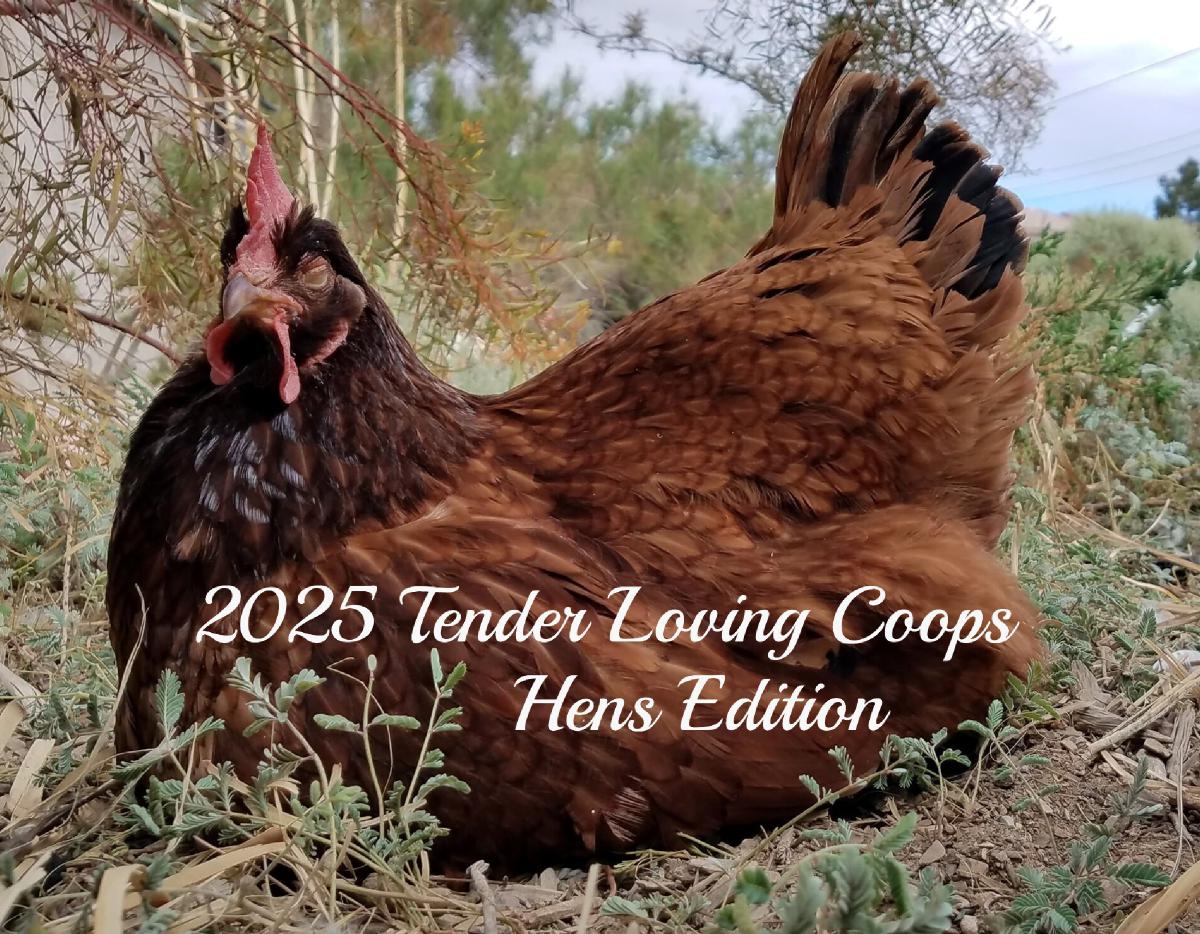 2025 TLC Hens Calendar