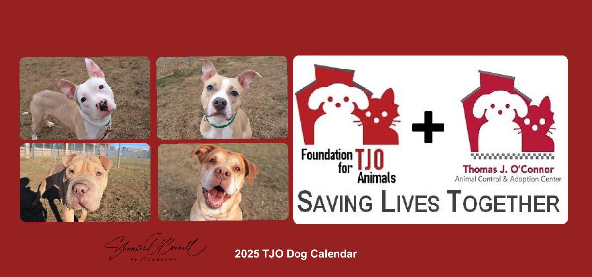 2025 TJO Dog Desk Calendar