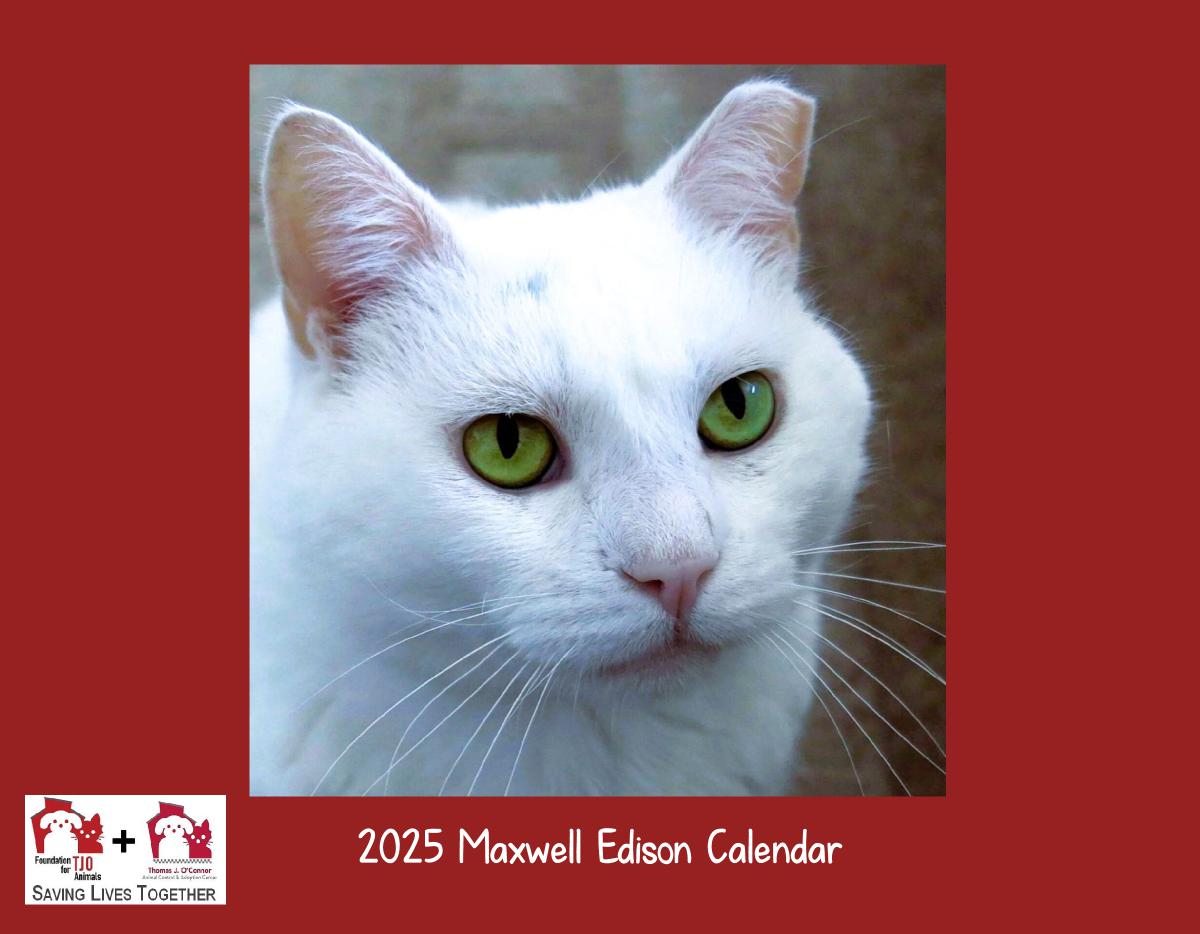 Maxwell Edison 2025 Wall Calendar