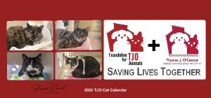 2025 TJO Cat Desk Calendar